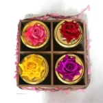 DRY FRUITS JARS WITH SHELVES TRAY (600 GRAMS)